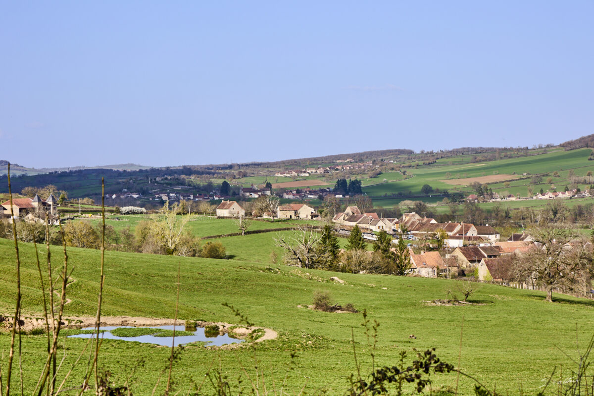 © All Rights Reserved - 2026-03-08 13:53:40 - f/8 1/250sec ISO-100 77mm - France - Bourgogne - Saône-et-Loire - Sailly