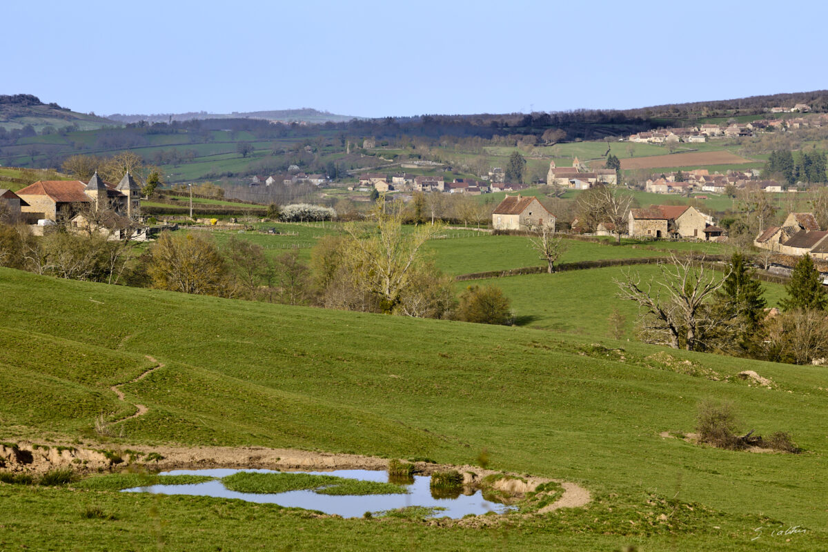 © All Rights Reserved - 2026-03-08 14:03:48 - f/8 1/200sec ISO-100 129mm - France - Bourgogne - Saône-et-Loire - Sailly