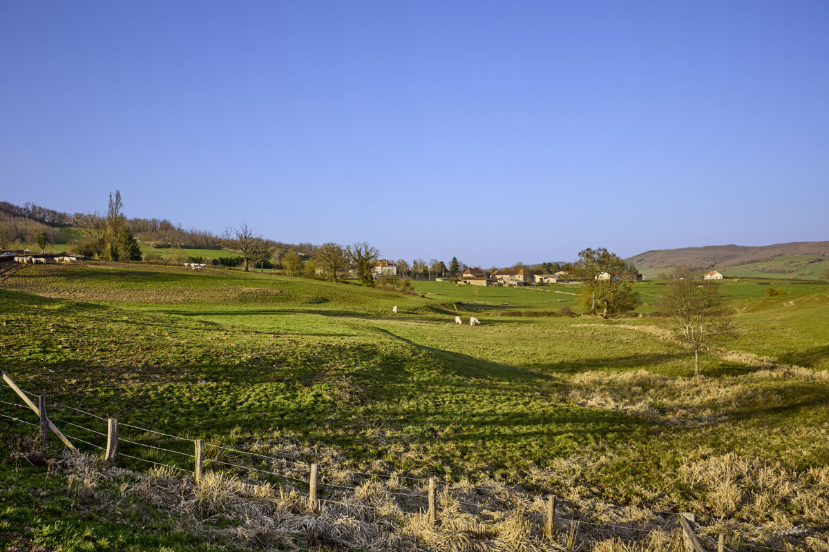 © All Rights Reserved - 2026-03-08 15:05:07 - f/8 1/400sec ISO-200 27mm - France - Bourgogne - Saône-et-Loire - Sailly