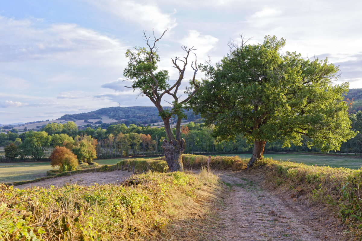 © All Rights Reserved - - 2026-09-16 19:14:06 - France, Bourgogne,, Sâone-et-Loire - f/8 1/25sec ISO-100 45mm